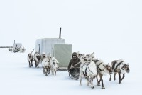 samedi 19 novembre &agrave; 17h projection-d&eacute;bat 