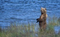 15 juin 2012 à Paris , Alaska de pere en Fils